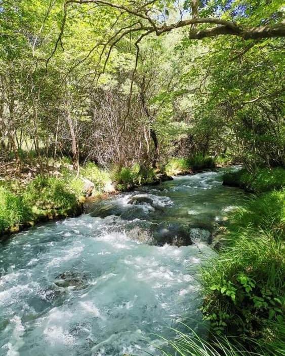 Sofias Cottage เอลลินิโก ภายนอก รูปภาพ