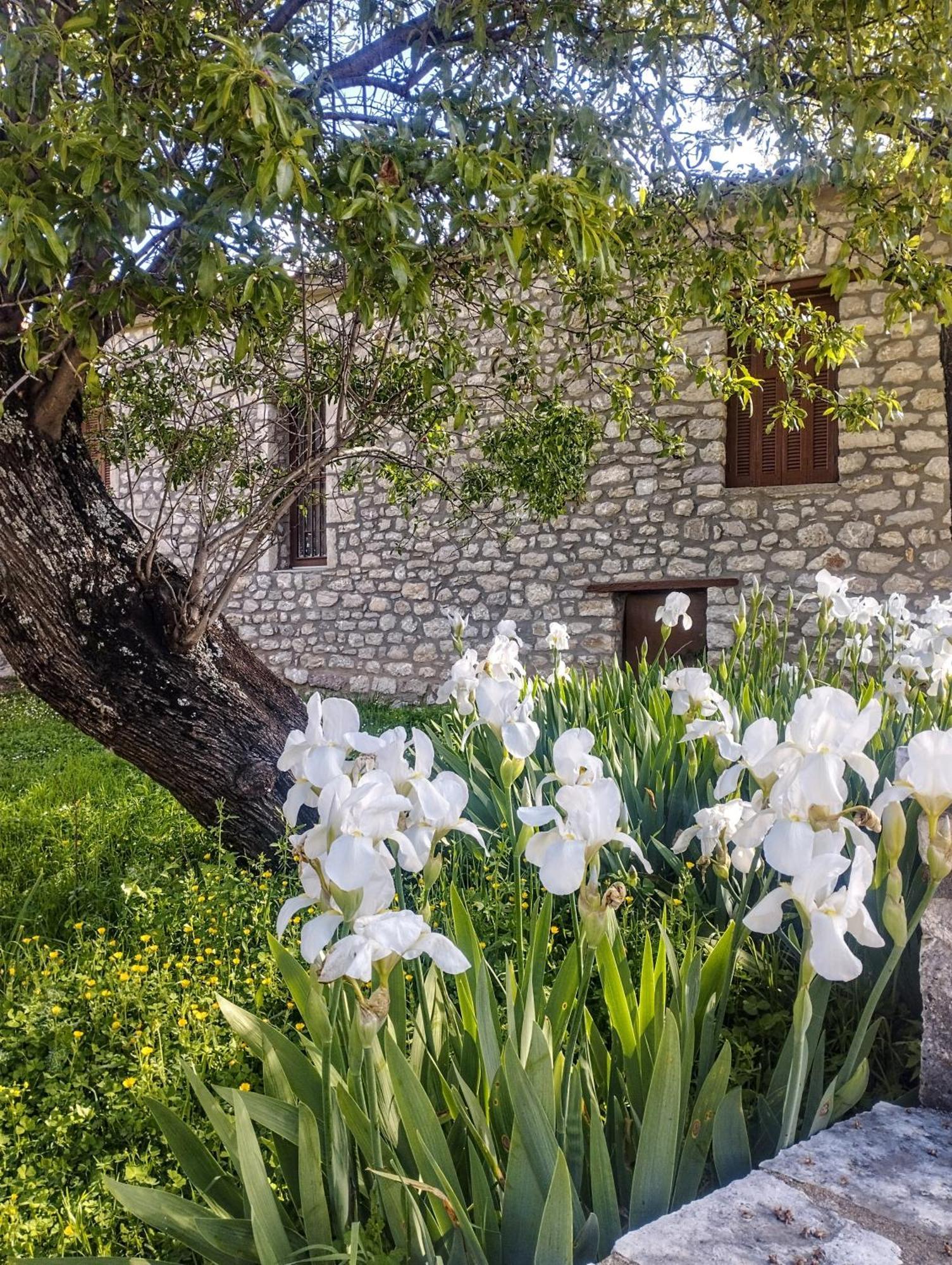 Sofias Cottage เอลลินิโก ภายนอก รูปภาพ